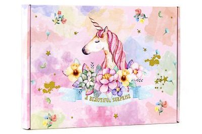 Color Mailer Box For Extra Hard Hanfu (2)