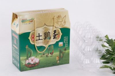 Color Printing Portable Soil Egg Box (2)