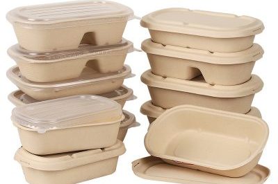 Degradable Pulp Environmental Protection Fast Food Box (1)