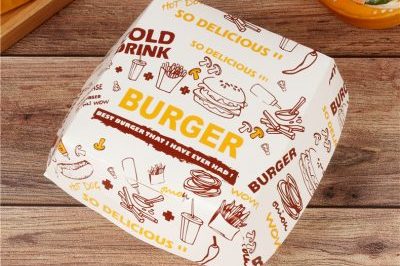 Disposable Fried Chicken Burger Box (1)