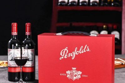 Double Penfolds Red Wine Box (5)