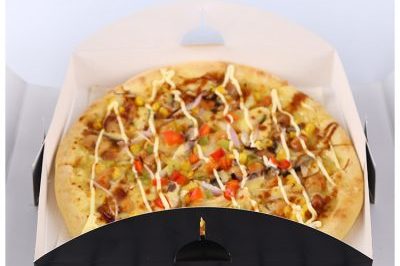 Factory Direct Portable Pizza Box (4)