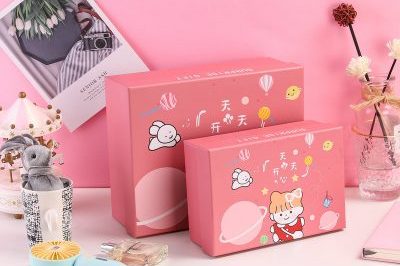 Factory Direct Supply Hand Gift Box (5)