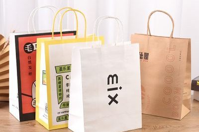 Folding Food Takeaway Portable Paper Bag (3)