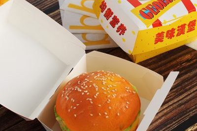 Forming Adhesive-Free Folding Hamburger Box (4)