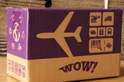 Postal Express Carton Mailer Box (2)