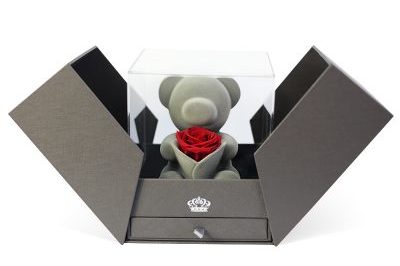 Preserved Flower Music Rose Bear Gift Box (3)