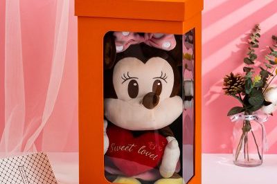 Spot Wholesale Doll Gift Box (6)