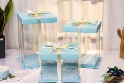Transparent Plastic Cake Packaging Box (4)