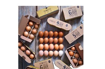 Wholesale Custom Printed Egg Packaging Box (2)