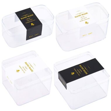 plastic food packaging box with lid