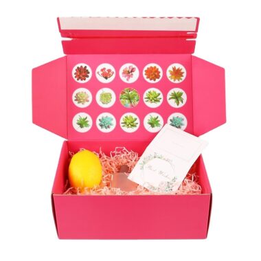 Custom Corrugated Shipping Box
