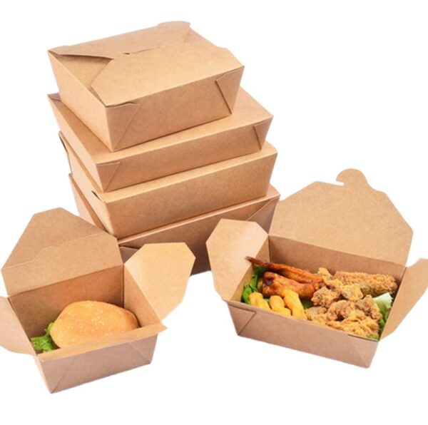 Disposable Lunch Box for Fast Food