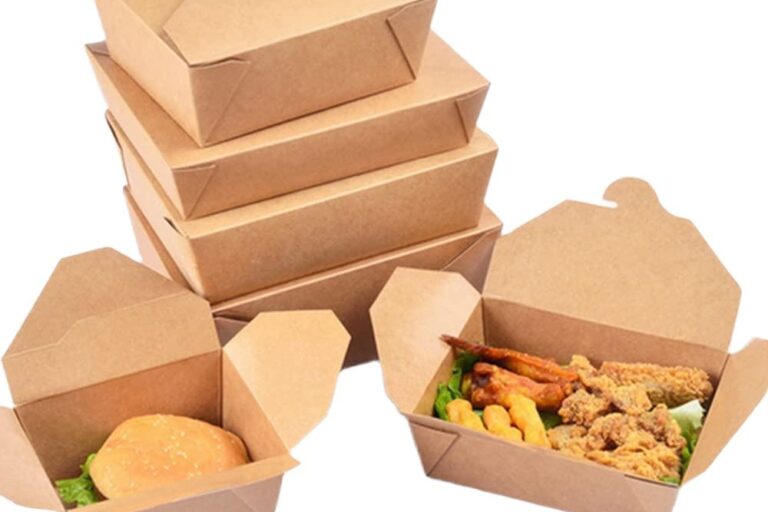 Custom Disposable Kraft Paper Lunch Box for Sushi & Noodles (6) Disposable Lunch Box for Fast Food